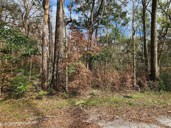 SW Nebraska Ter Lot 101, Fort White, FL 32038