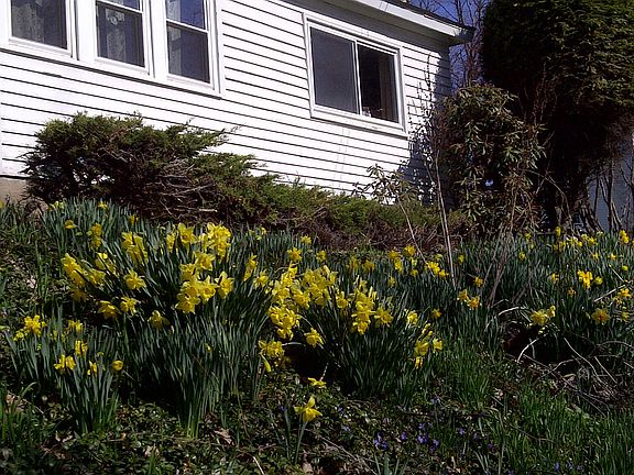 Flowers abundant all season