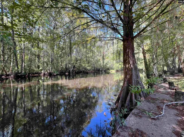 812 Shillings Bridge Rd, Orangeburg, SC 29118