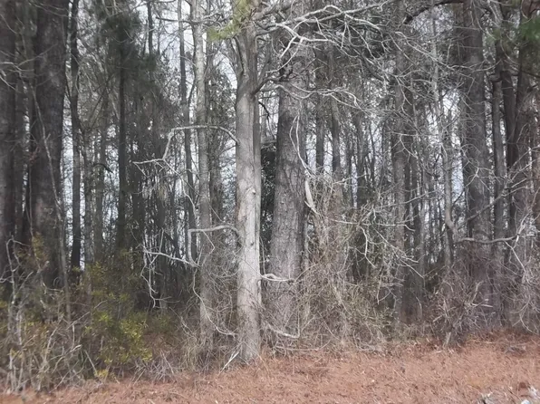 Griffin Swamp Rd Lot 1, Elizabeth City, NC 27909