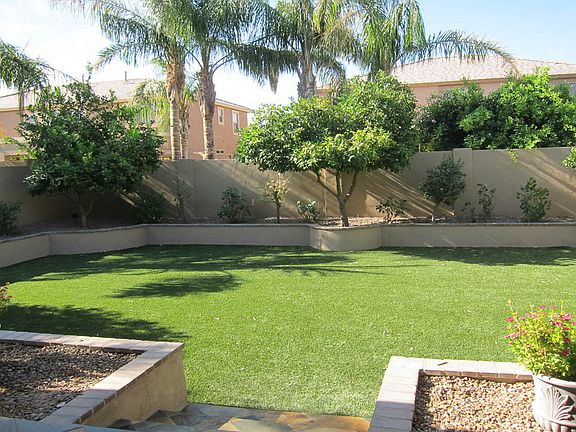 backyard grass area