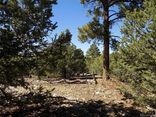 Mill Run Road, Mosca, CO 81146