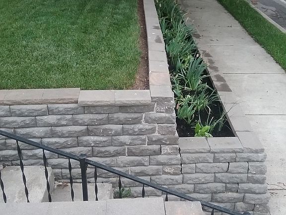  spring and summer flowers