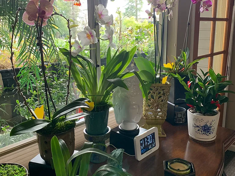 1196 Saranap Ave #24 — Photo 12