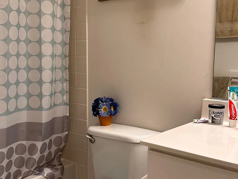 2416 Terra Cotta Cir — Photo 31