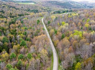 Lang Rd #9, Spencer, NY 14883