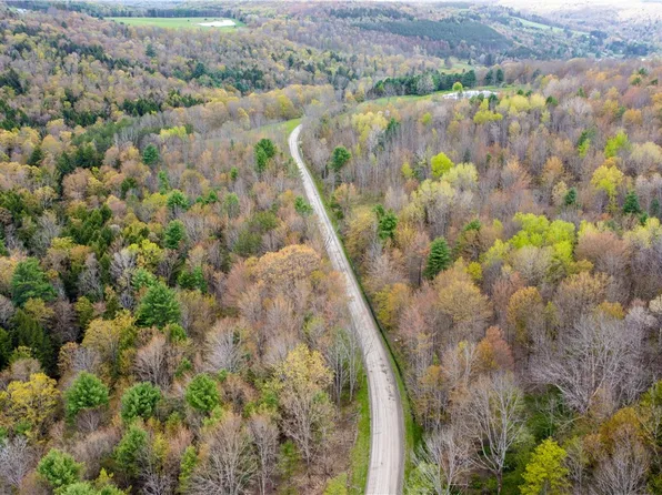 Lang Rd #9, Spencer, NY 14883