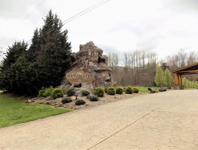 059.01 S Highway 32, Cosby, TN, 37722