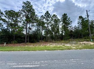 10250 N Spaulding Dr, Citrus Springs, FL 34433