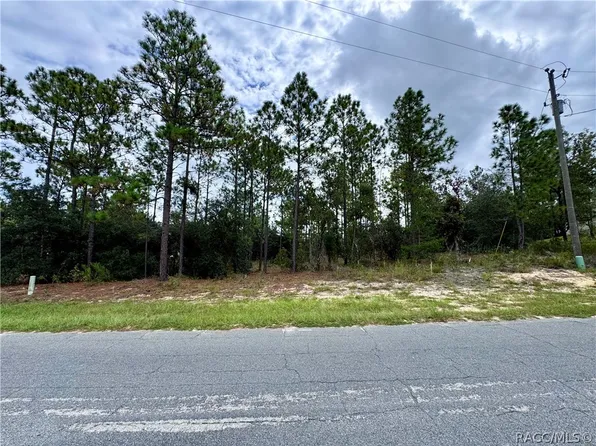 10250 N Spaulding Dr, Citrus Springs, FL 34433