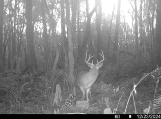 0 County Line Rd, Madison, FL 32340