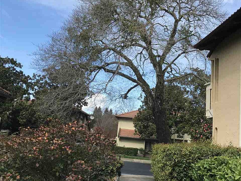 1st image of 1392 Camino Peral
