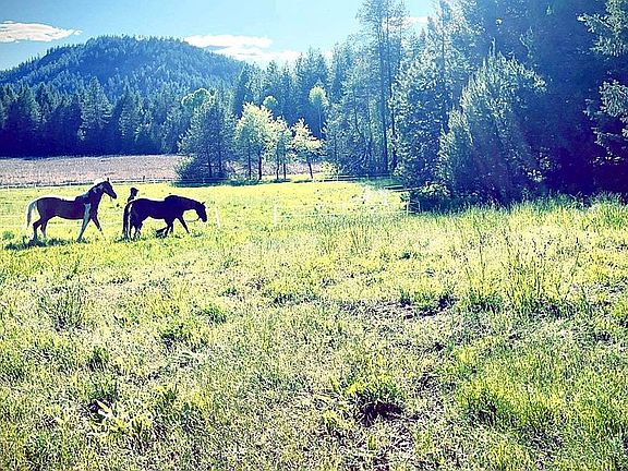 Pasture, pond and mountain views
