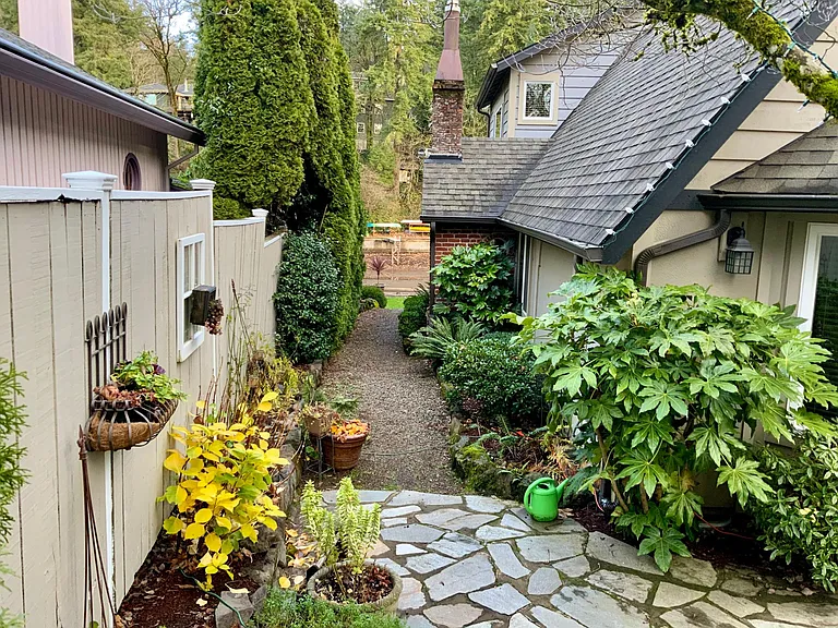 Side walk to the back yard