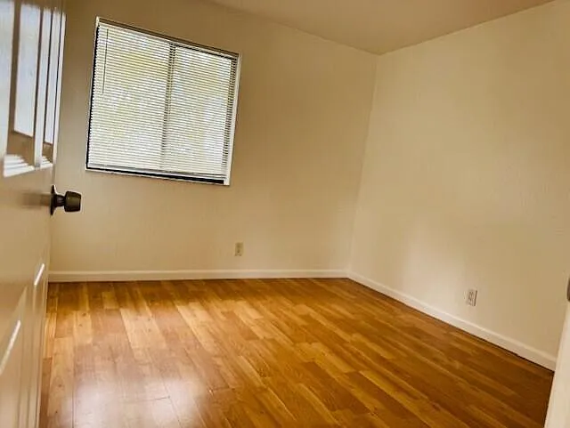 6008 Strawberry Fields Way — Photo 7