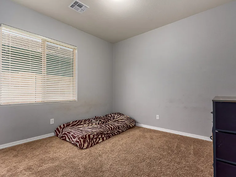 41177 W Lucera Ln — Photo 17