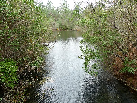 4th image of 12009 County Road 97