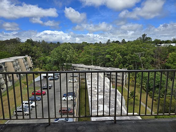 Lanai looking into the morning sun. Cool breeze