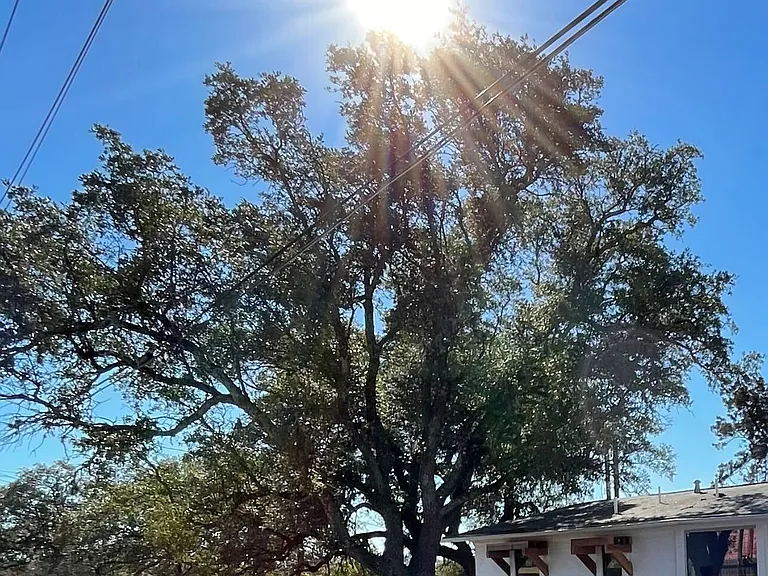 3704 San Antonio St — Photo 2