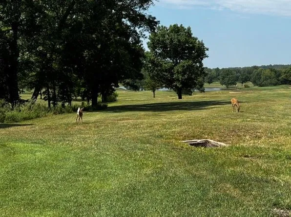 197 & 205 Fascination Ln, Lacygne, KS 66040