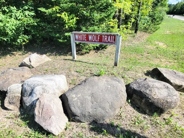 White Wolf Trl Unit 5, Alanson, MI 49706