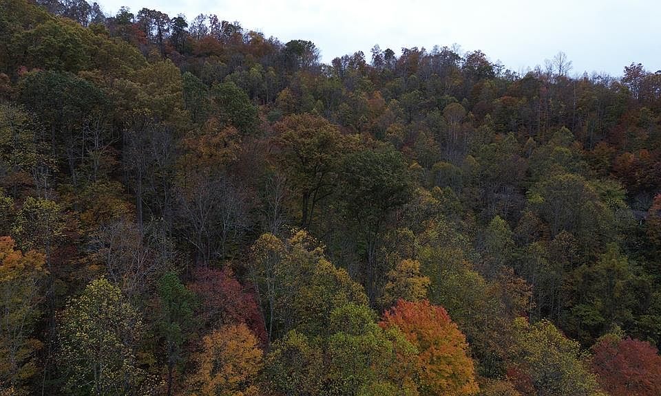 1st image of 0 Roy Hill Rd
