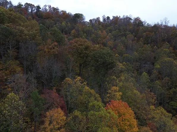 0 Roy Hill Rd, Hindman, KY 41822