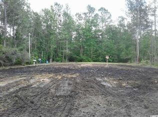 2054 Tomahawk St, Hemingway, SC 29554