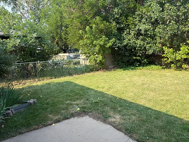 Back yard