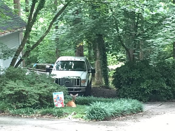 Circular drive and entrance.