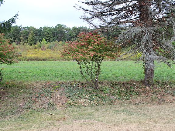 view from rear yard