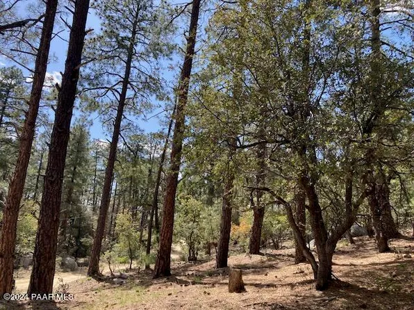 20 E Vulture Bend Dr, Prescott, AZ 86303