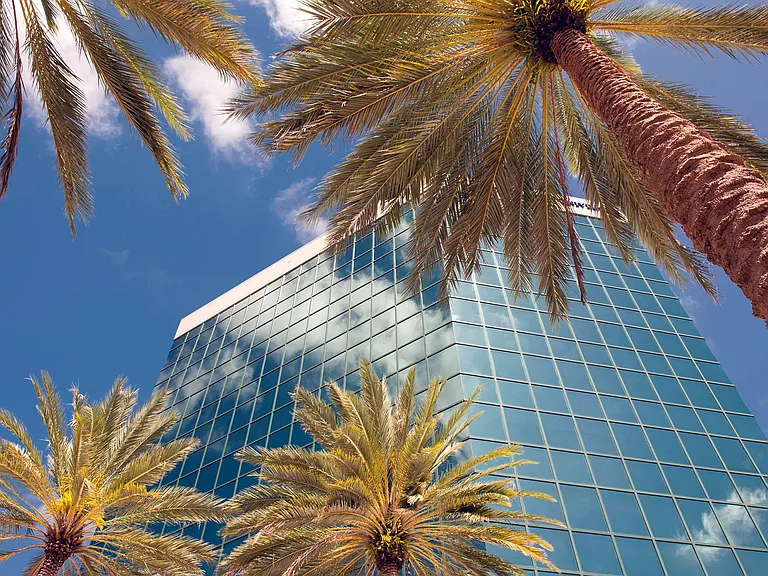 Downtown Fort Lauderdale Skyscraper Framed by Palm Trees Near Pearl Flagler Village