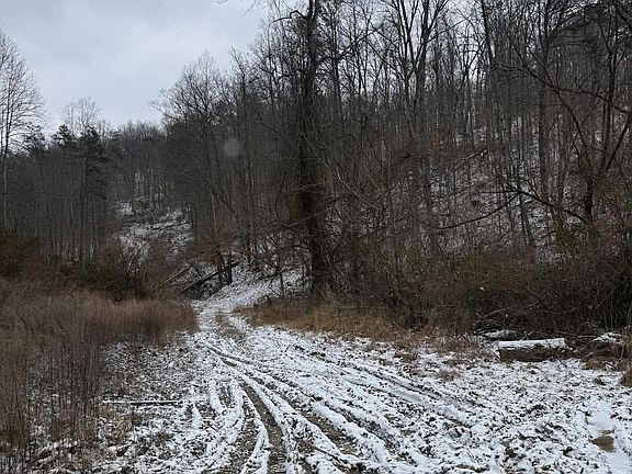 5th image of 0 Briar Fork Rd