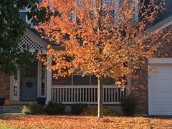 Front Fall view 
