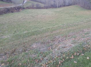 Buck Mnt Rd, Roan Mnt, TN 37687