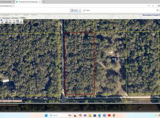 130th Ter, Live Oak, FL 32060