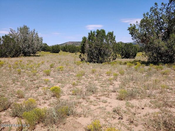 40670 W Scout Trl, Seligman, AZ 86337