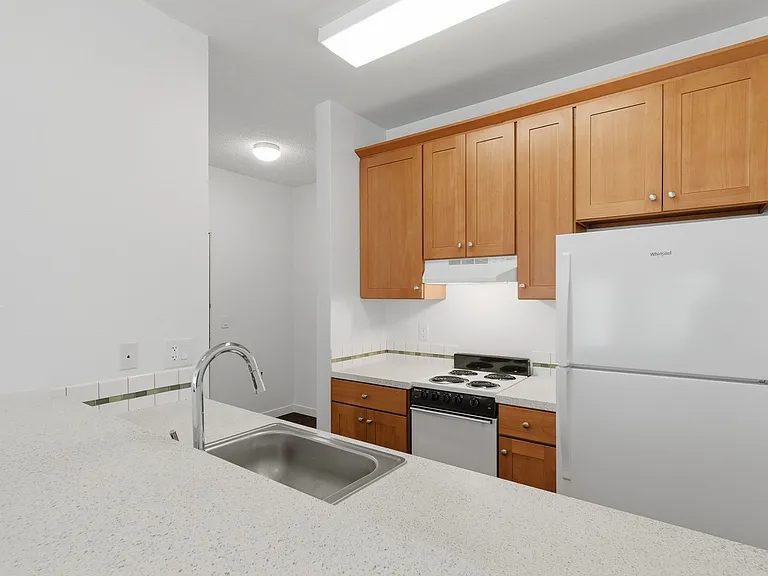 Pine Street Apartments — Photo 13