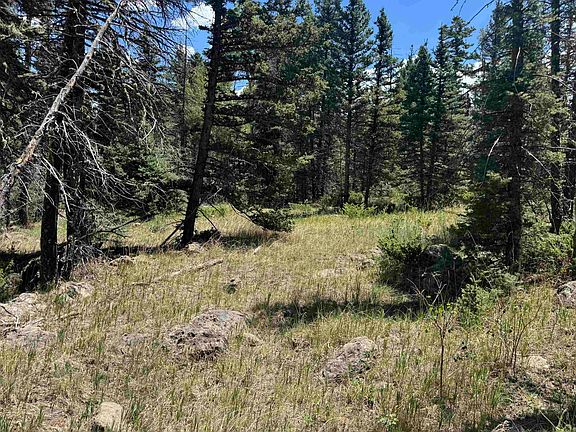 3rd image of Lot 98 Elk Meadow