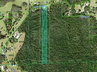 0 Green Pond Rd #2, Polk City, FL 33868