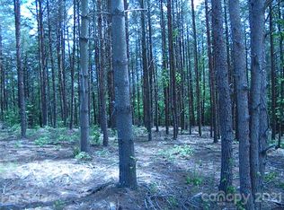 3114 Ella Marie Way #58, Nebo, NC 28761