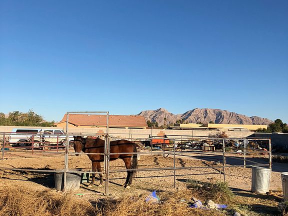 .9 acres zoned for 3 horses