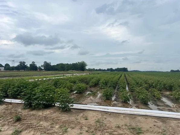 0 Clay 312 Rd, McDougal, AR 72441