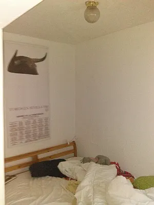 Rented by Northside Plaza Inc. | media 13