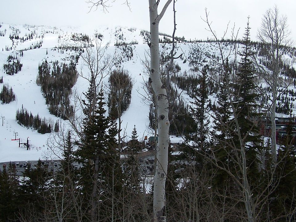 1st image of 251 W Eagles Roost St