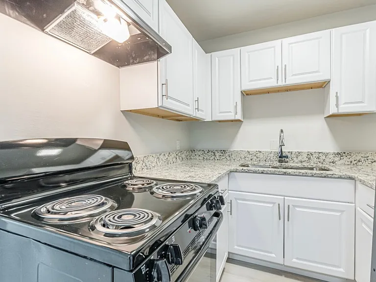 ZD Townhomes — Photo 9