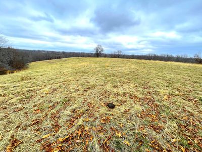 117 Acres Carlin Ridge Road, Rocky Comfort, MO, 64861
