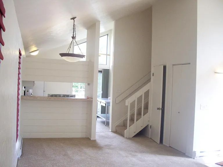 3801 Silver Plume Cir — Photo 6