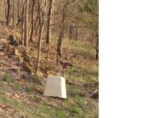 73 Harmony Ln, Bakersville, NC 28705